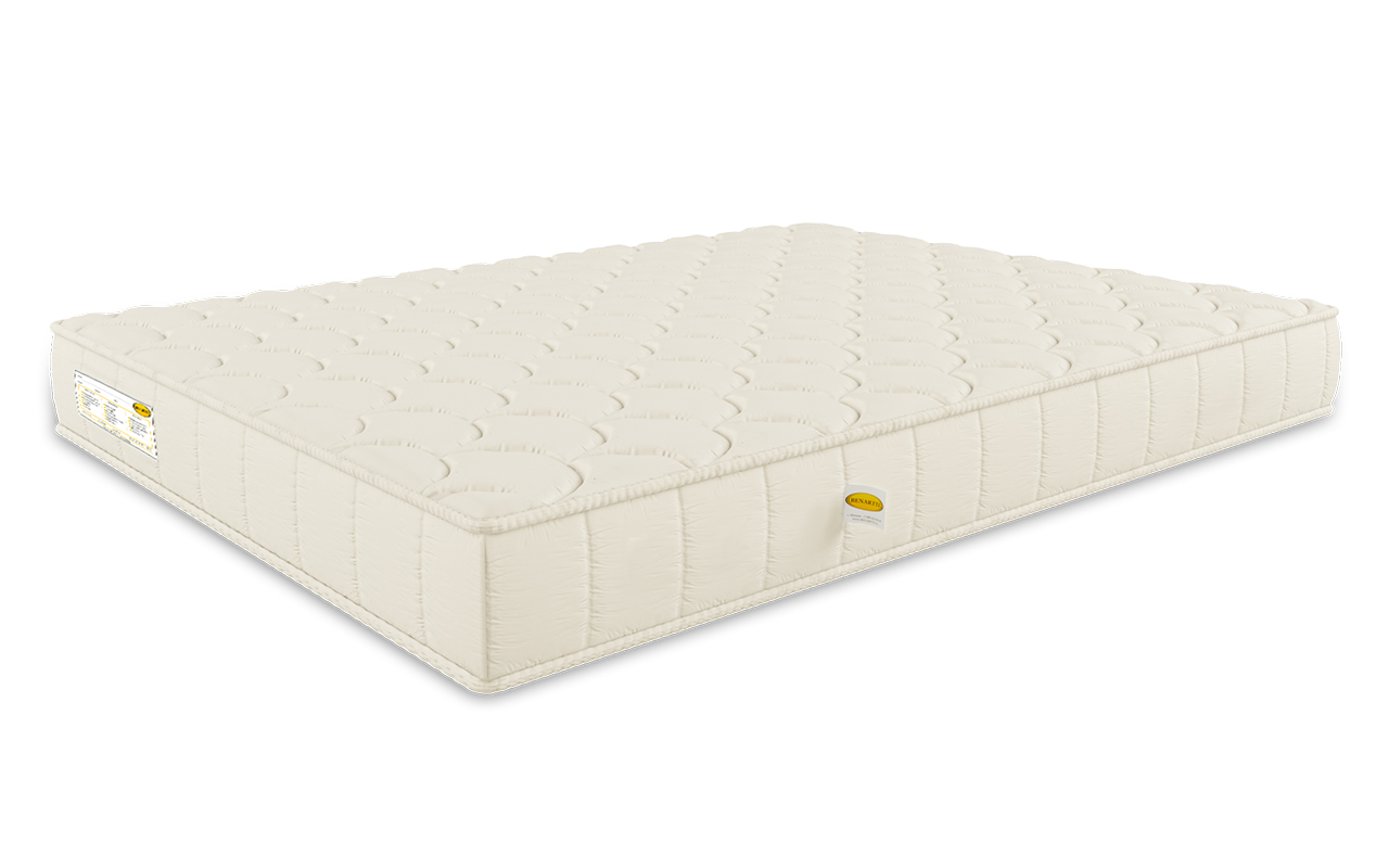 Benartti Roll Standart фото 3