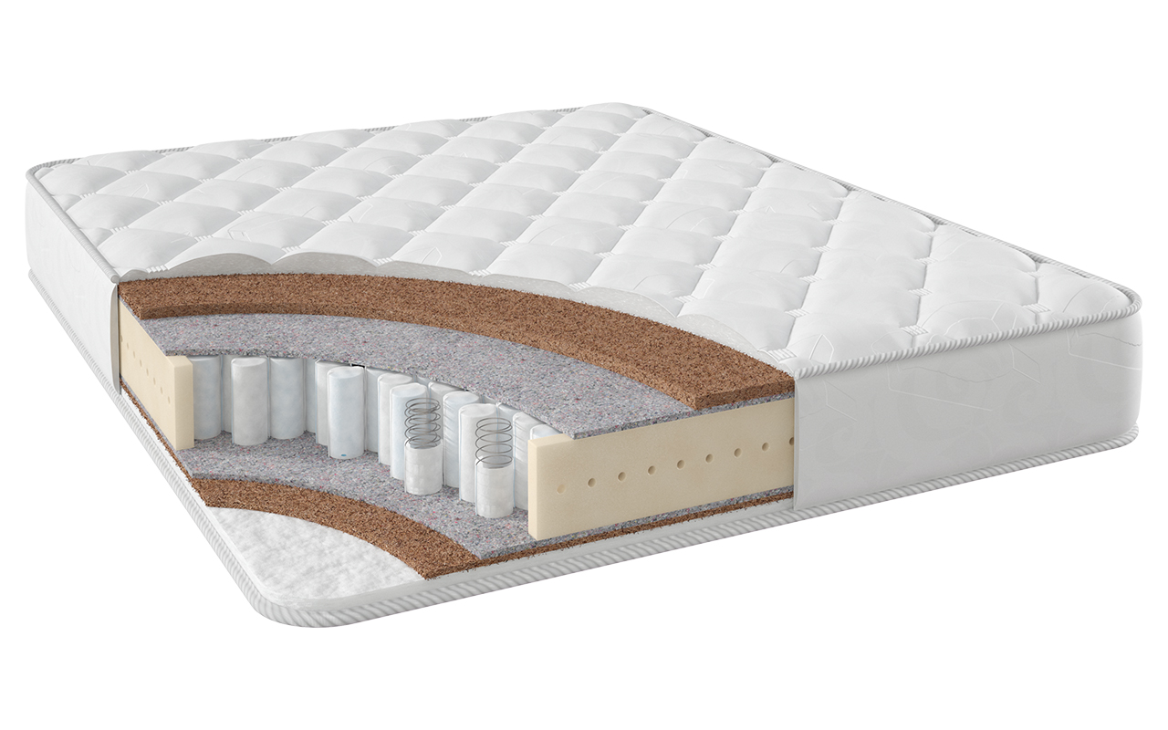 Сторис Эконом Традо ТФК